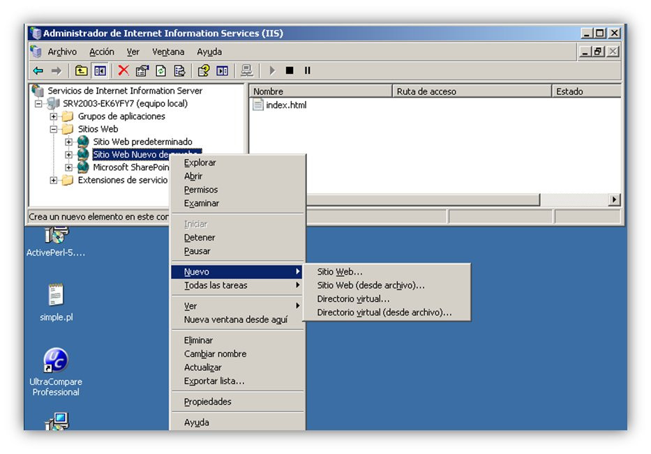 Crear Directorio Virtual (1)