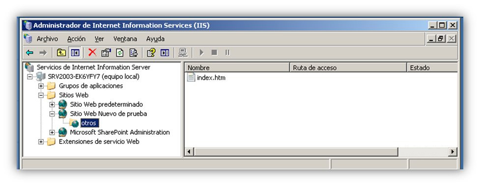 Crear Directorio Virtual (5)