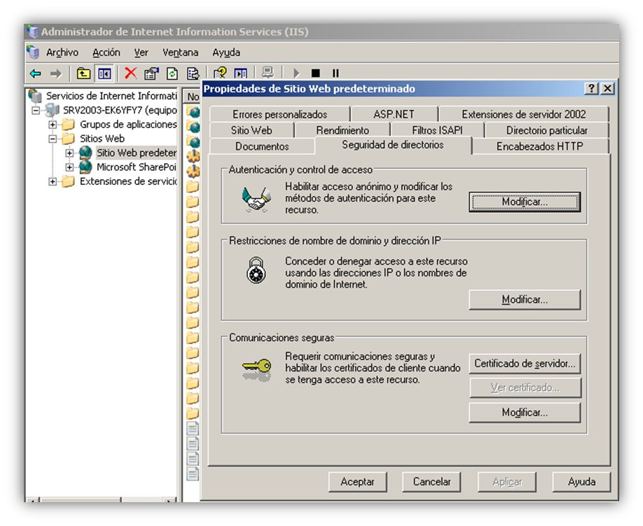 Restricciones de IP y DNS (1) Restricciones de IP y DNS (1)