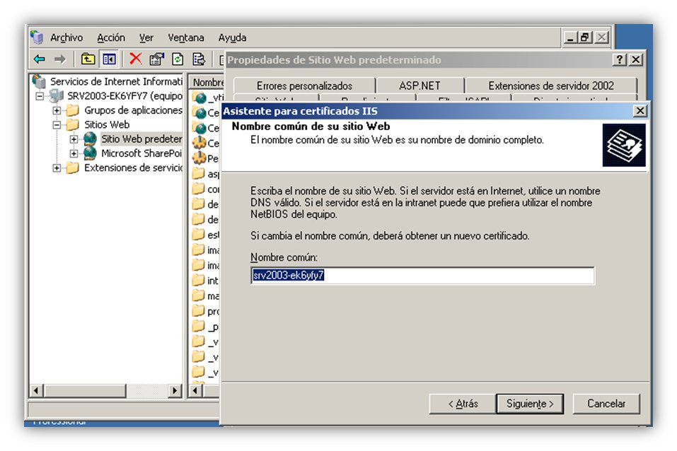 Gestión de SSL (11)