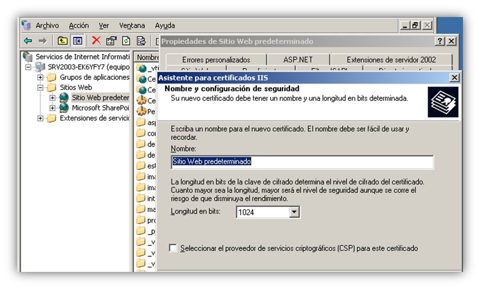 Gestión de SSL (9)